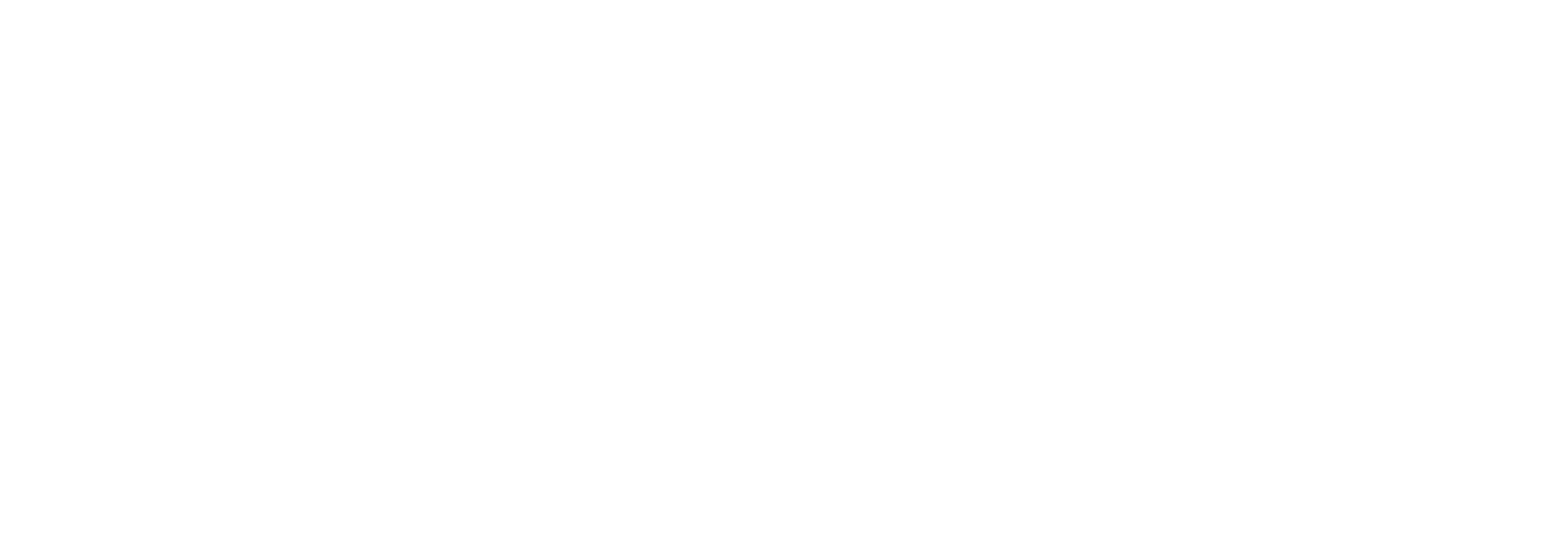 Hazuki 刃月 knife sharpening in Sydney