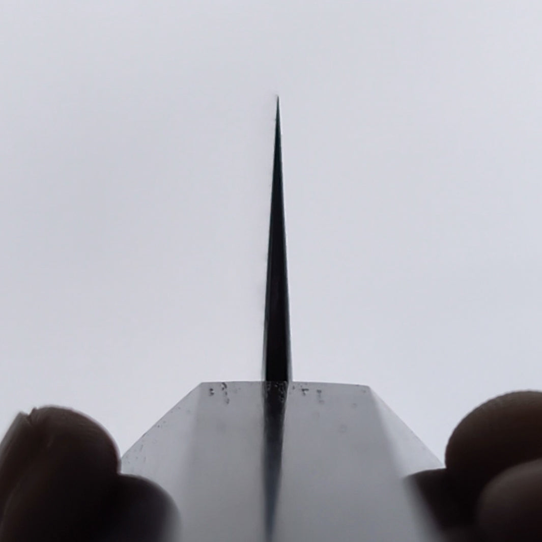 Tetsujin - Blue 2 Kasumi Kiritsuke Tip 240mm Sujihiki