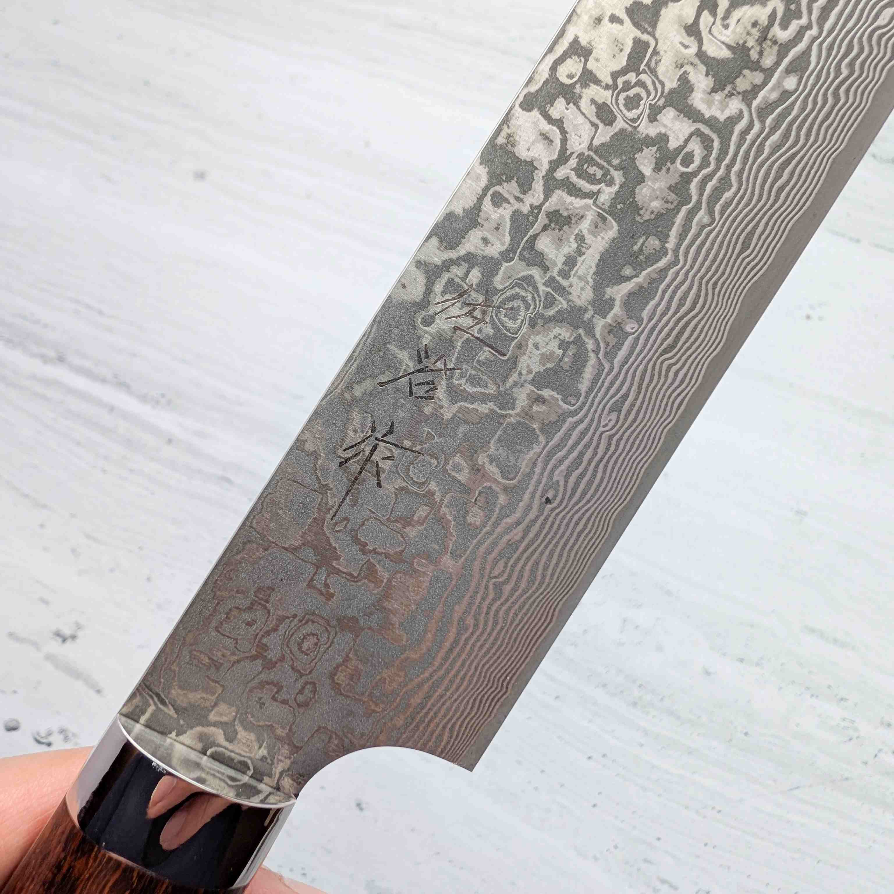 Takeshi Saji - SG2/R2 Black Damascus Sakimaru 240mm Sujihiki