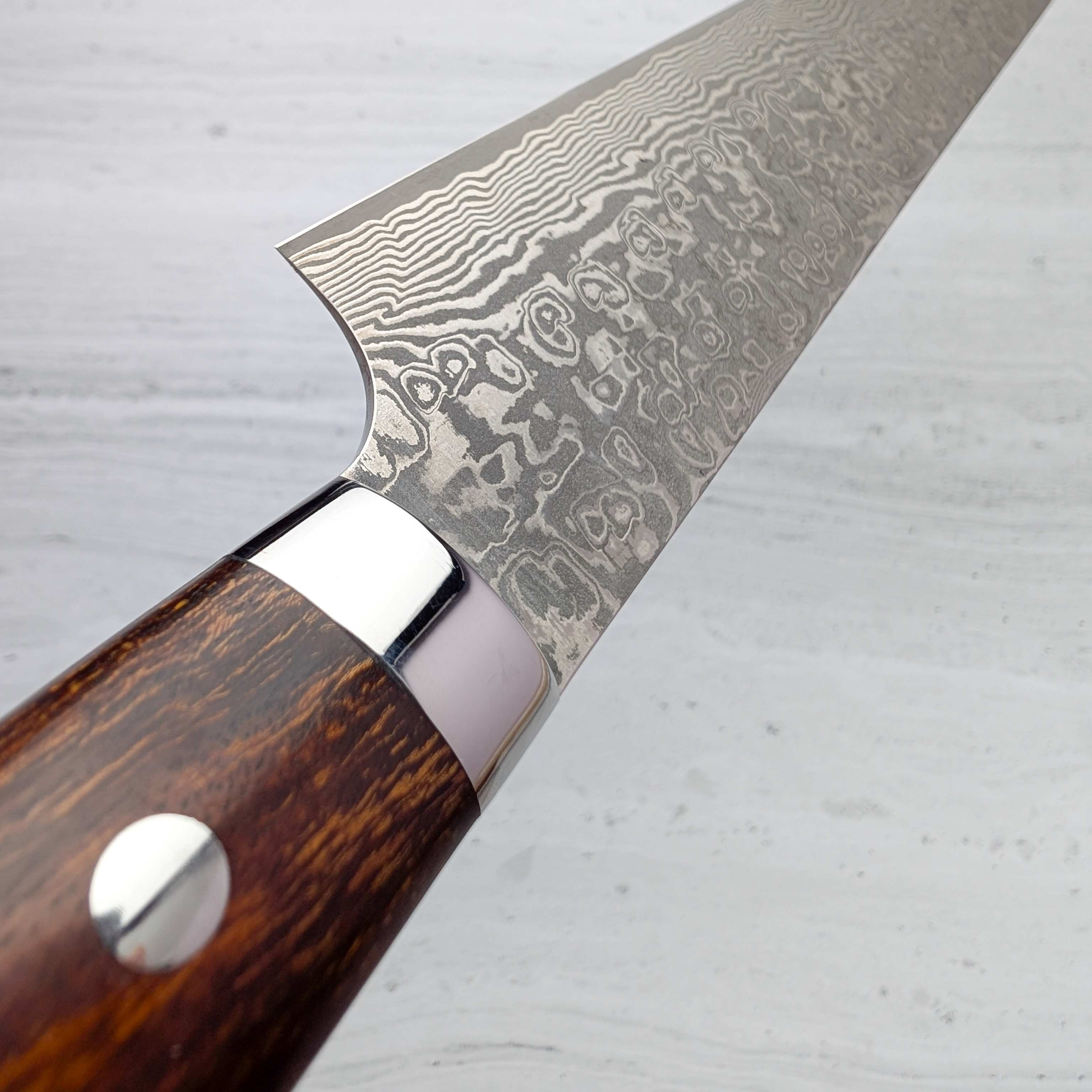 Takeshi Saji - SG2/R2 Black Damascus Sakimaru 240mm Sujihiki